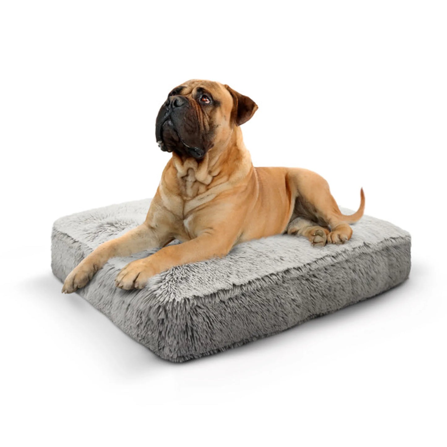 Rectangular Plush Dog Bed – Premium Washable Orthopedic Pet Bed for Dogs & Cats | PetFlowz USA