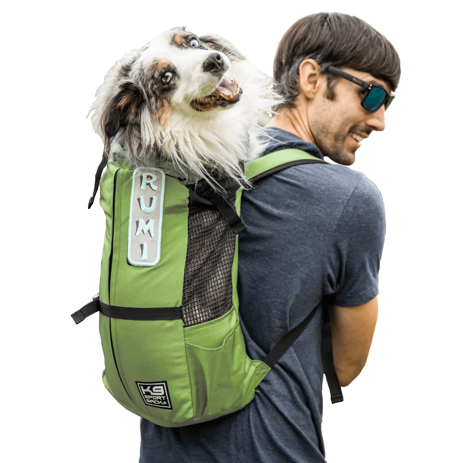 Pet Travel & Carriers