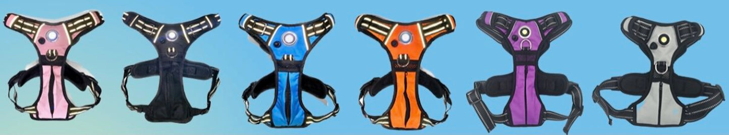 Headlight Harness™ LED Dog Harness – No-Pull, Reflective, Water-Resistant, 80-Lumen Safety Light (Made in USA)| PetFlowz USA