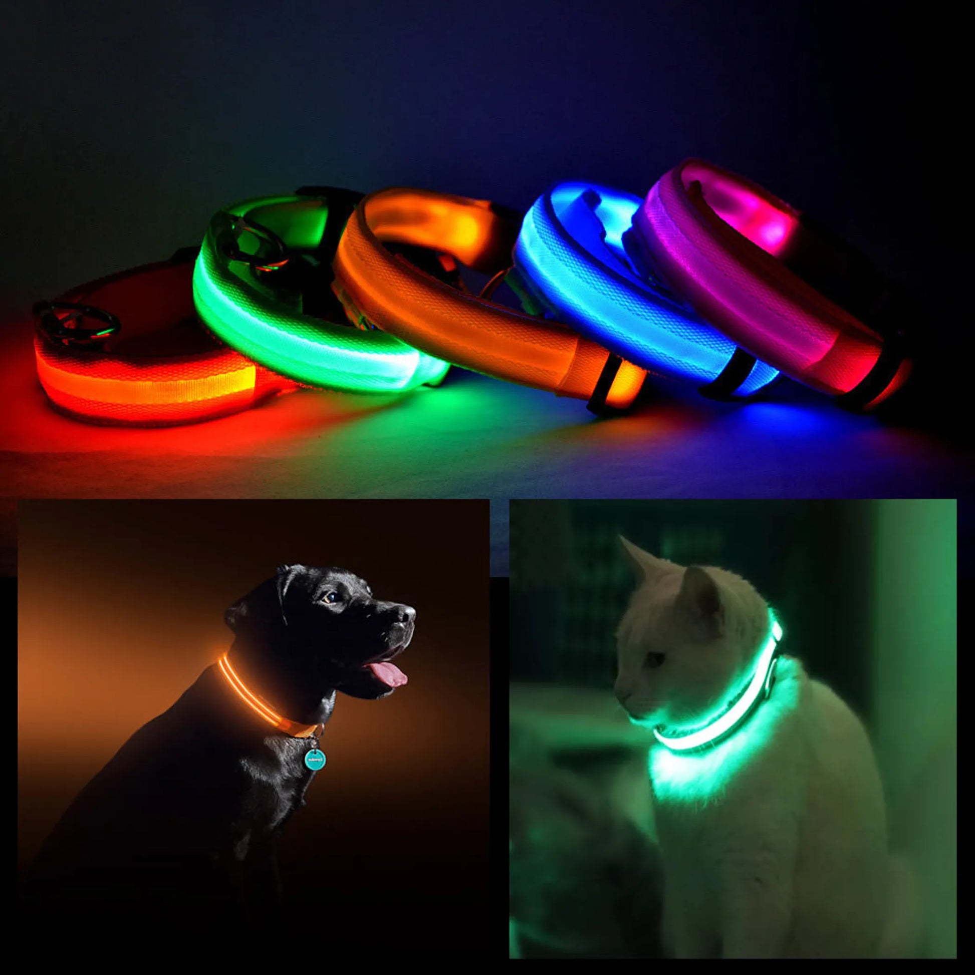 Vibrant multi-color glowing pet collar – red, blue, orange, pink, green