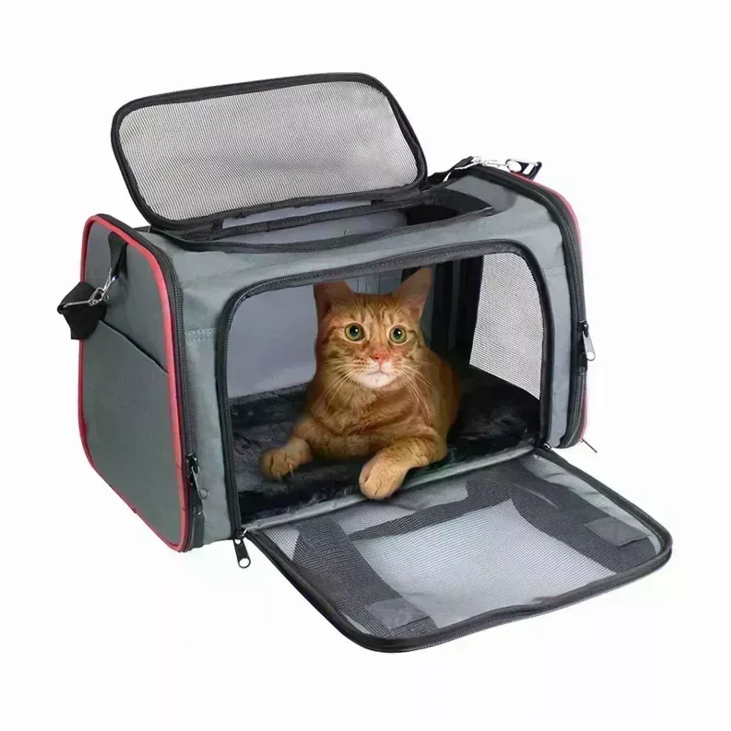 Airline-approved pet carrier for small dogs and cats – PetFlowz USA
