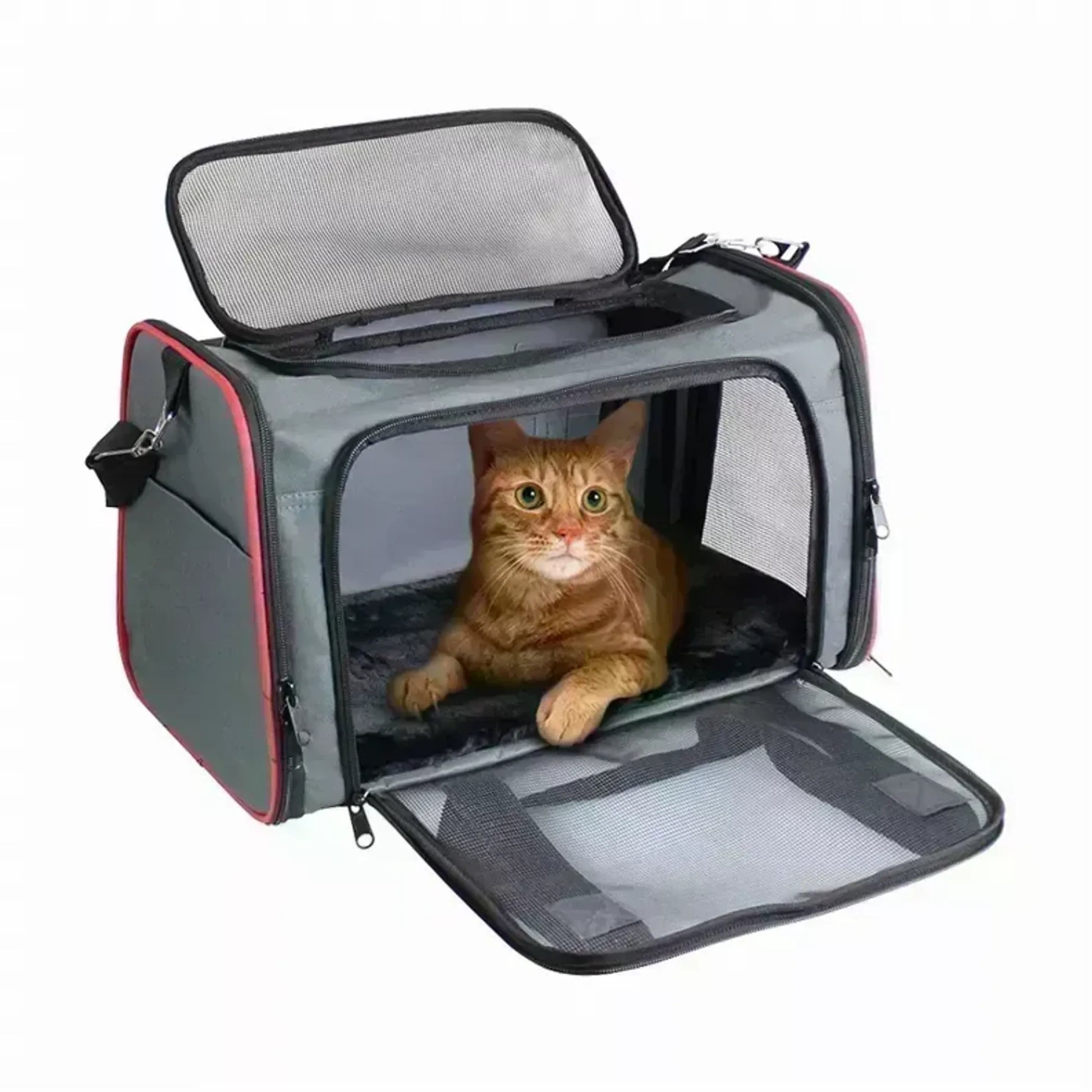 Top mesh opening on pet travel carrier for ventilation and access