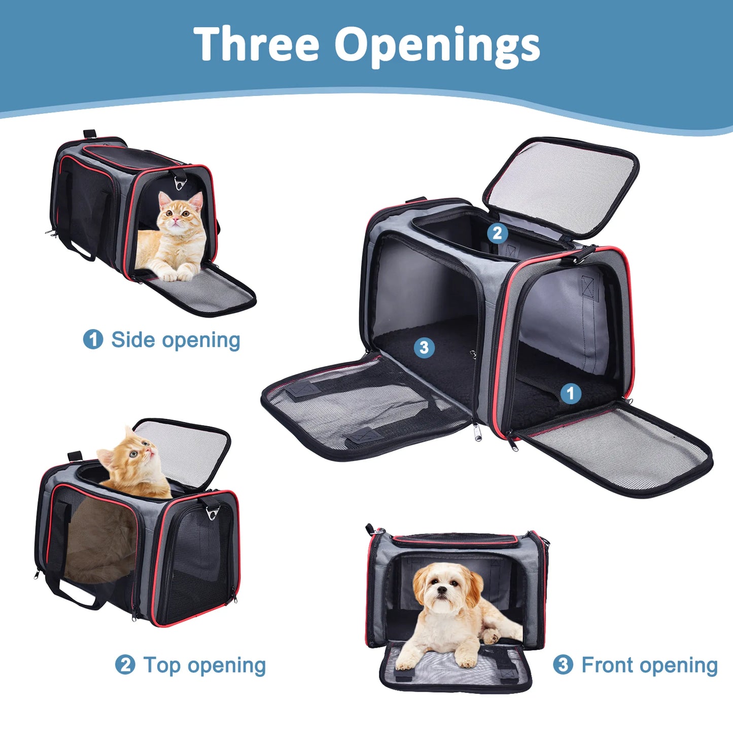 Small dog inside lightweight airline-approved pet carrier