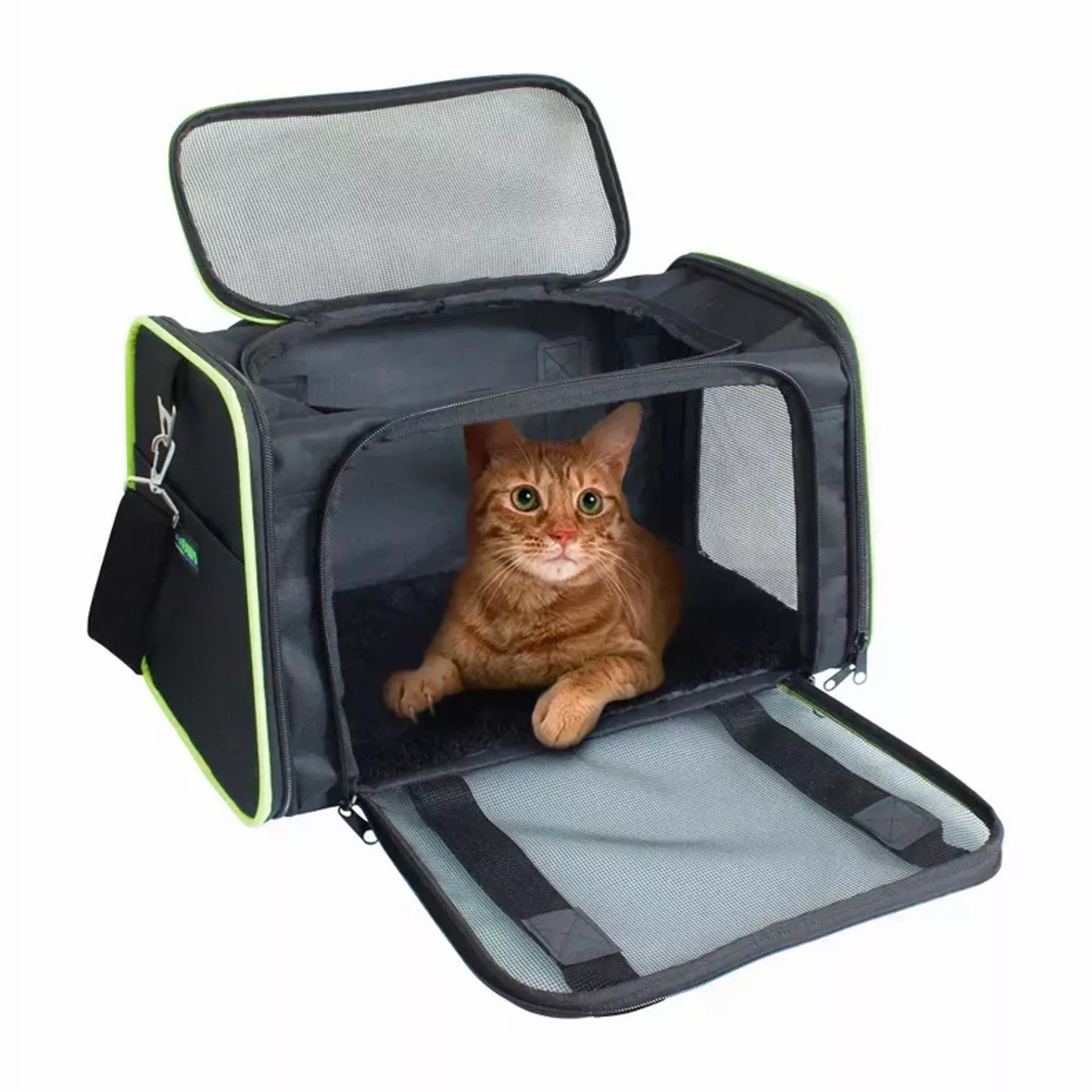 Interior padding and secure design of small pet travel carrier