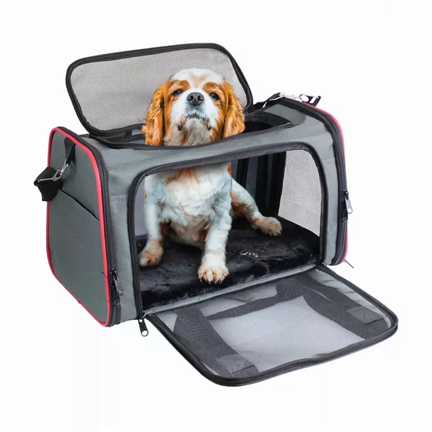 Pet Carrier for Small Dogs & Cats – Airline Approved, Collapsible Travel Handbag with Mesh, Safety Belt & Adjustable Strap| PetFlowz USA