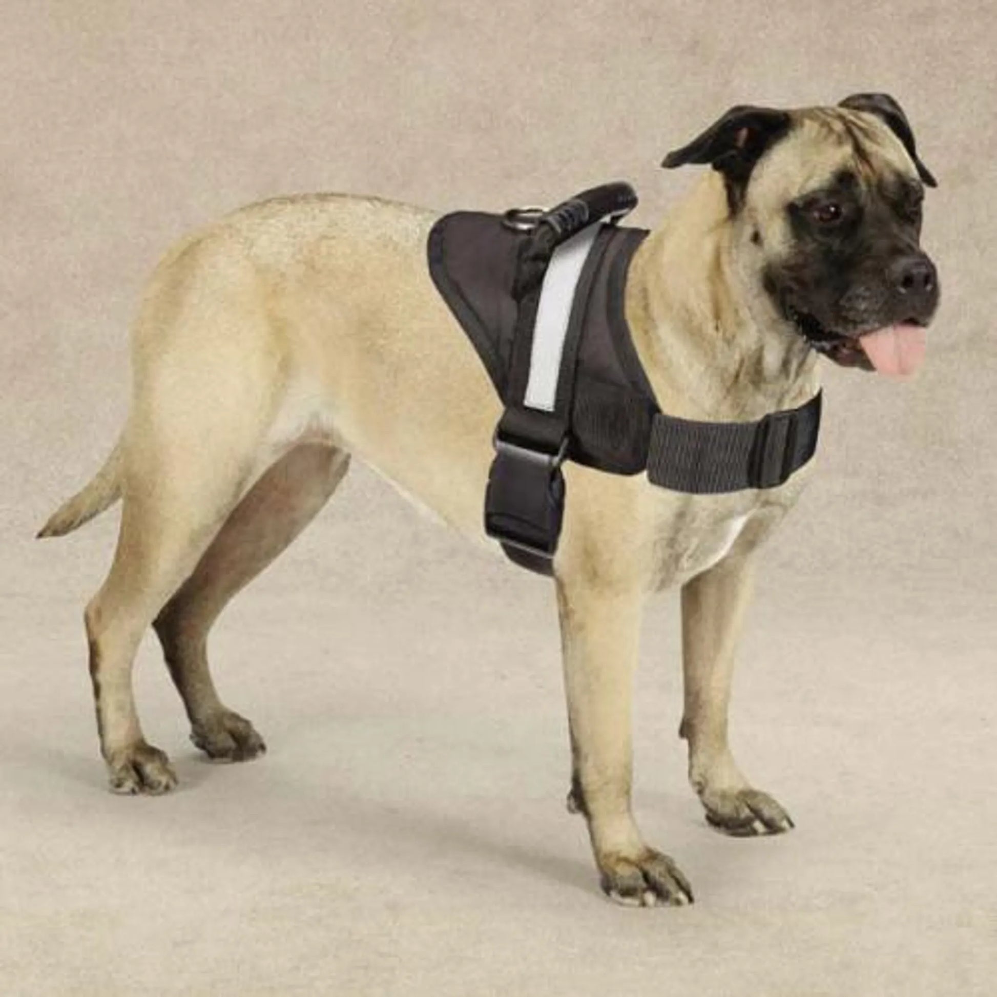 Dog Harness with Easy-Grab Handle for Better Control