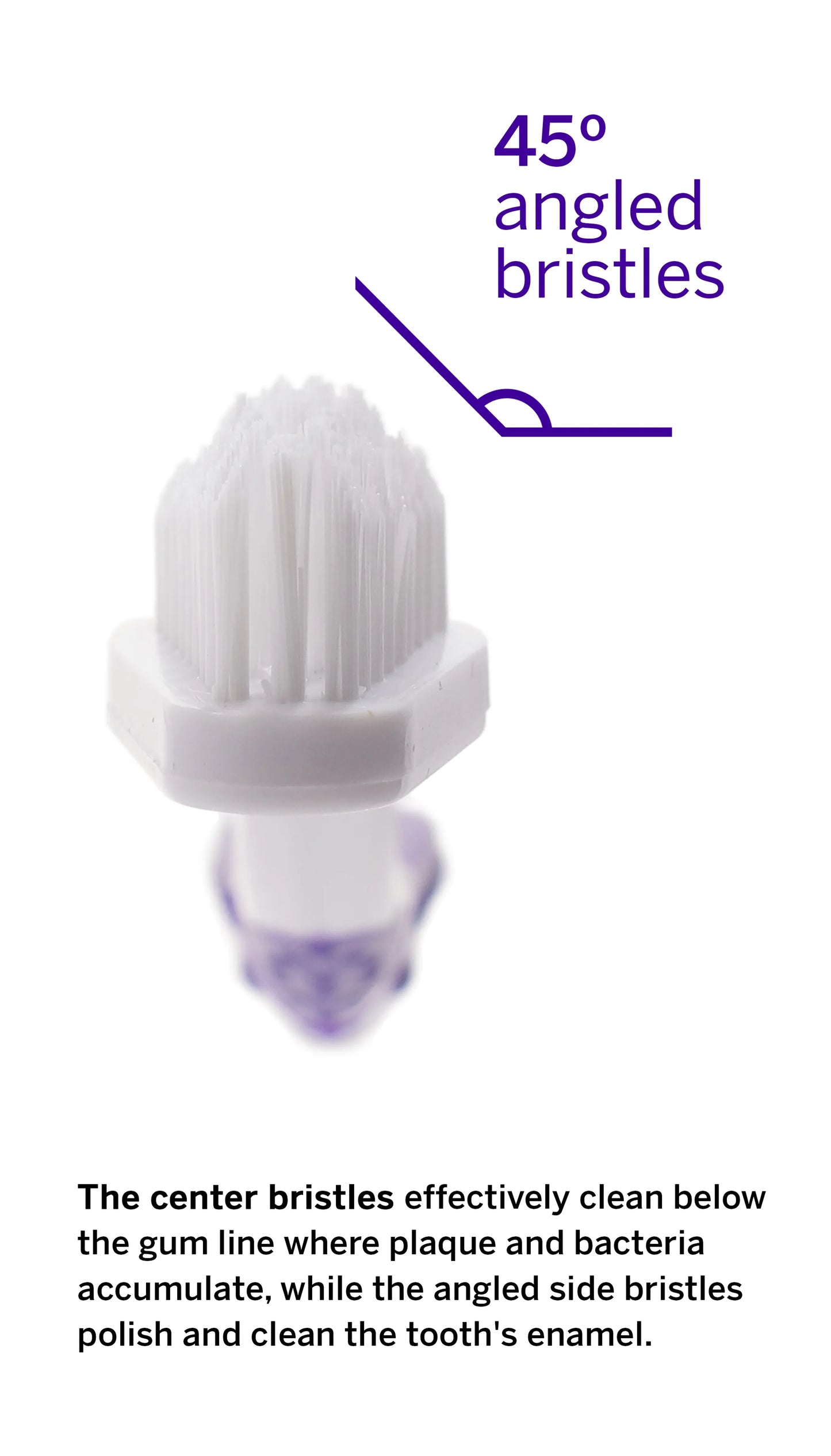 Soft DuPont™ Nylon Bristles Pet Toothbrush for Plaque & Tartar Removal