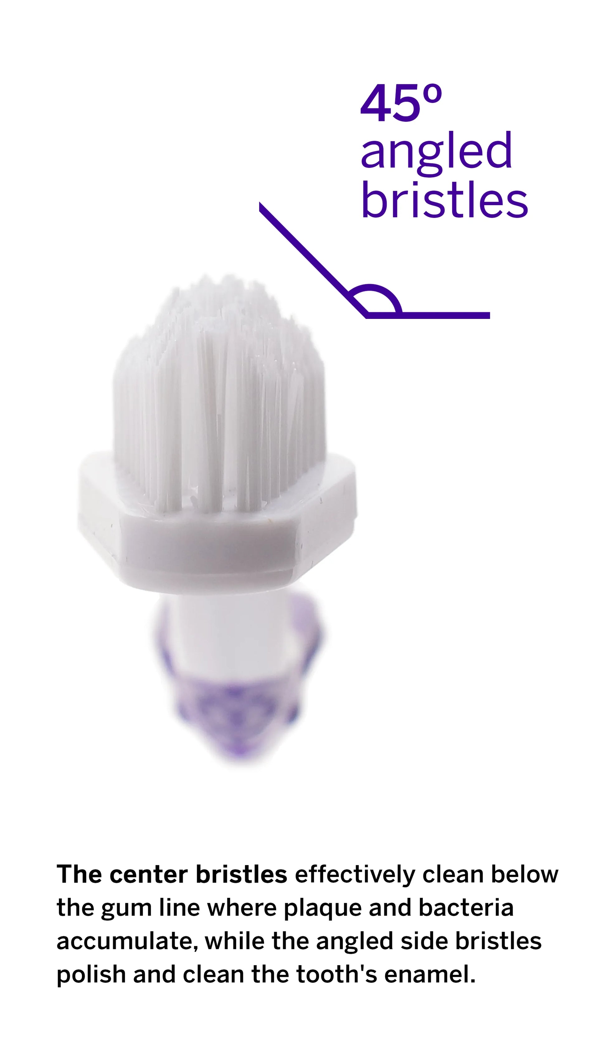 Soft DuPont™ Nylon Bristles Pet Toothbrush for Plaque & Tartar Removal
