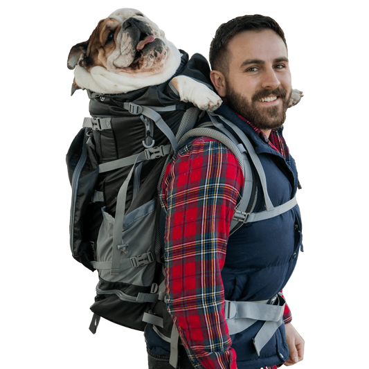 Kolossus Big Dog Carrier & Backpack for Medium to Large Dogs 20–80 lbs – PetFlowz USA