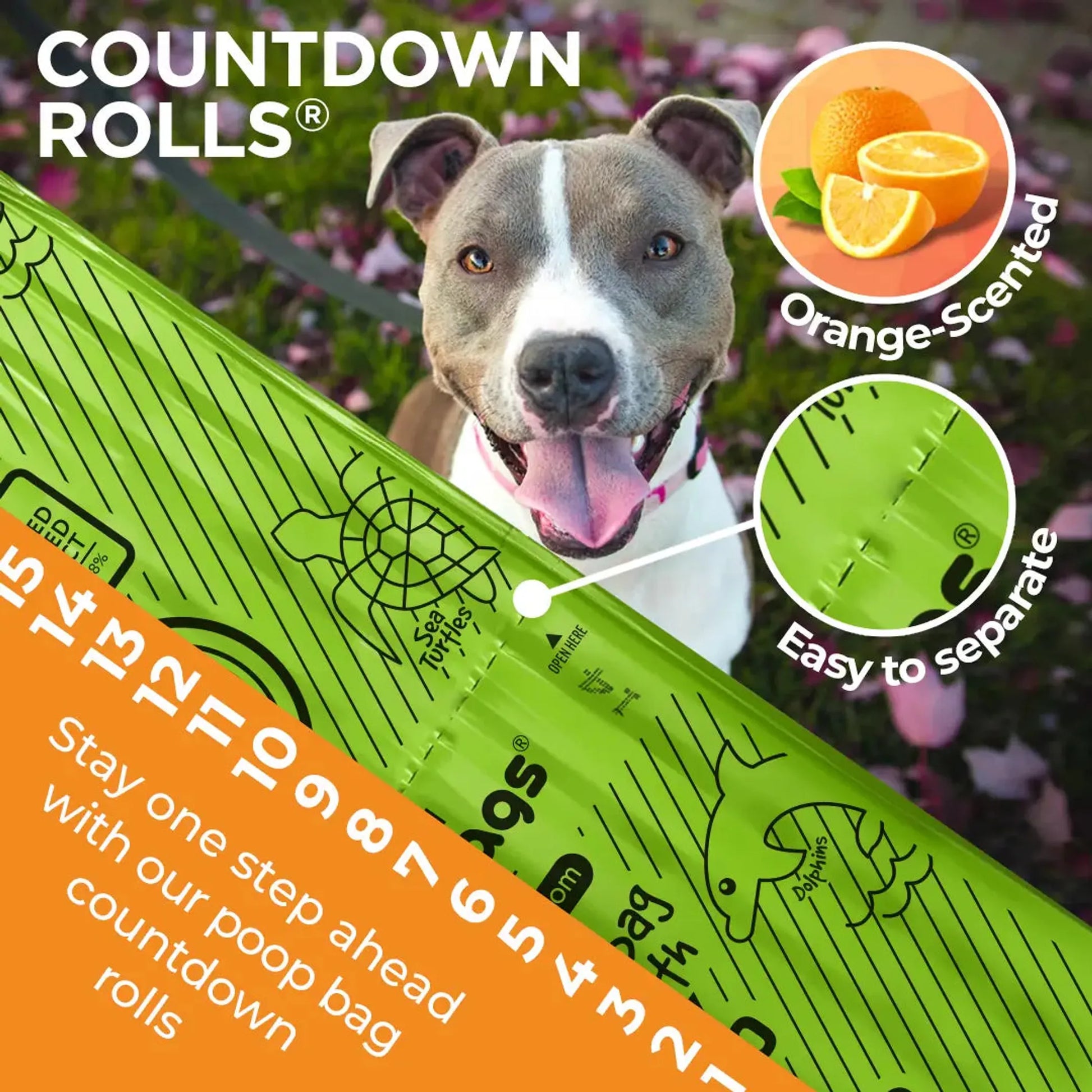 Orange-Scented Pet Waste Bags Strong & Eco-Friendly