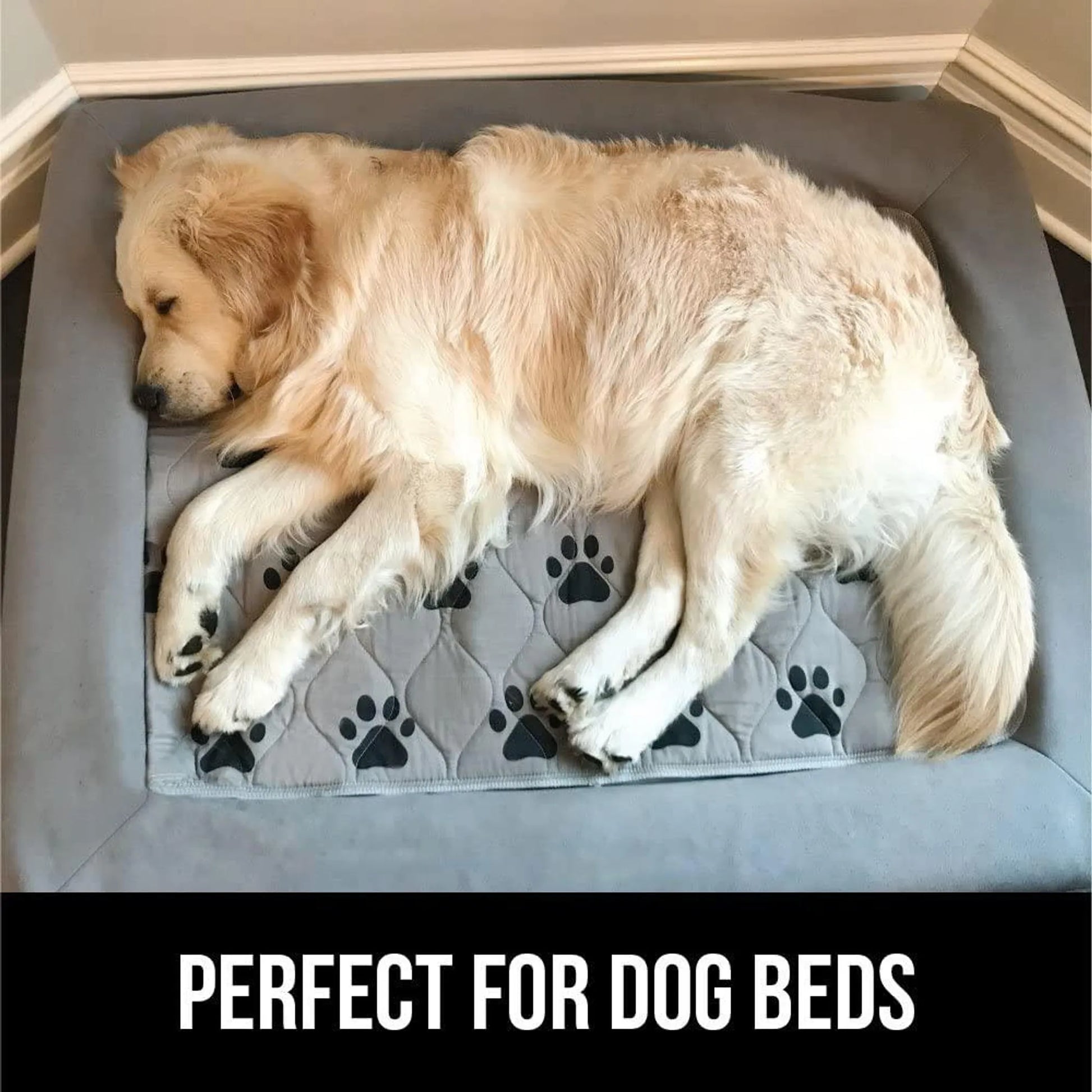 Soft Quilted Pet Pads for Crates, Carriers & Furniture Protection