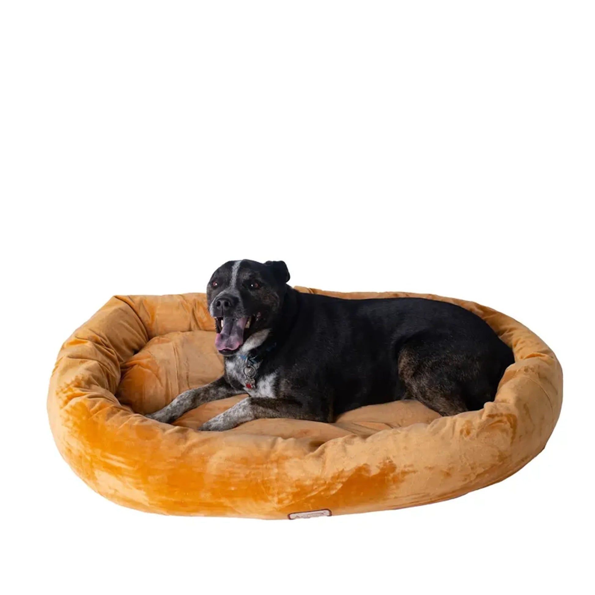 Orthopedic-Level Comfort Dog Bed for Puppies and Senior Dogs