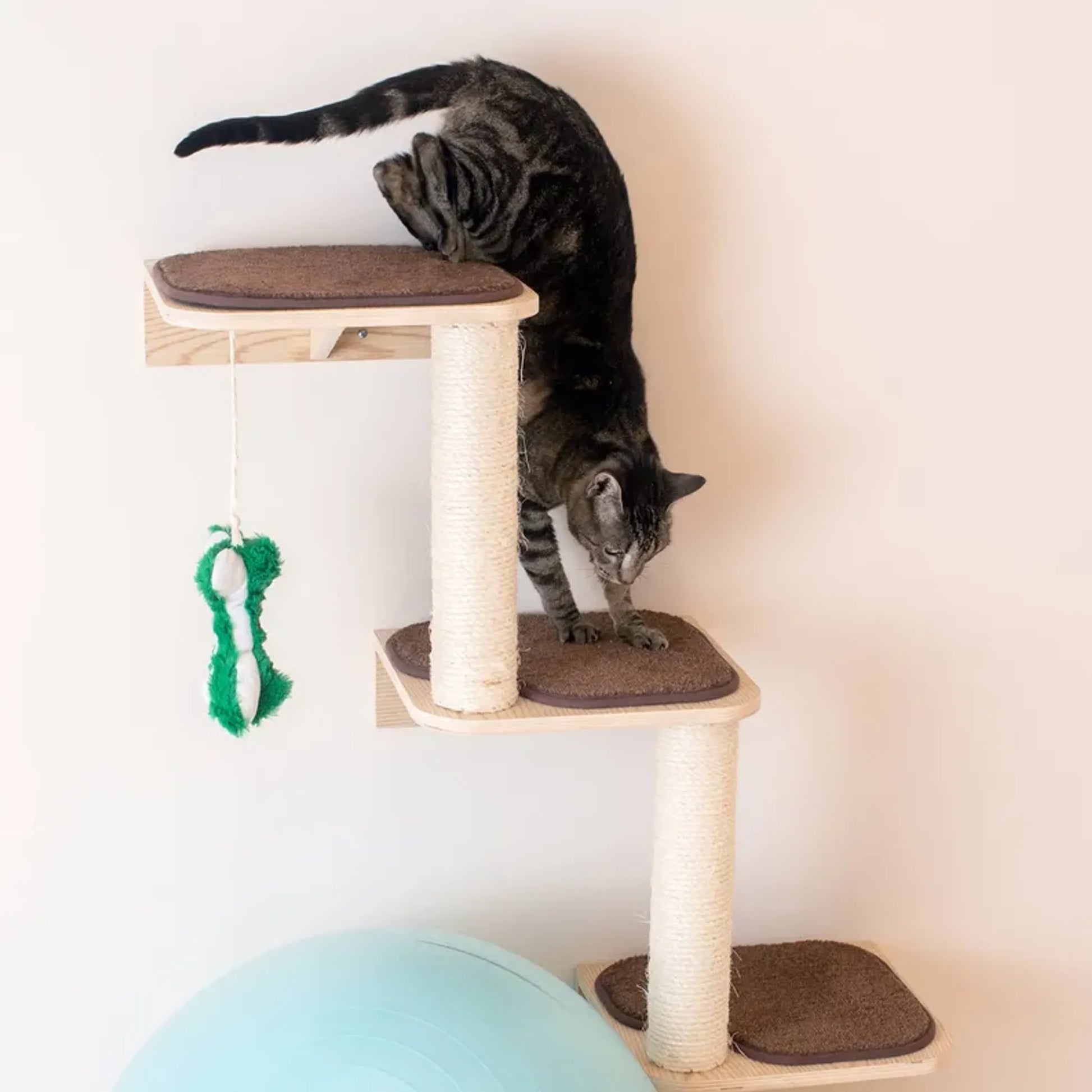 Vertical Cat Playground with Scratching Posts and Toy