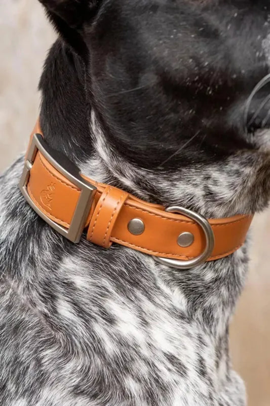 Sierra Sunrise Vegan Leather Dog Collar in reddish brown – Made in USA