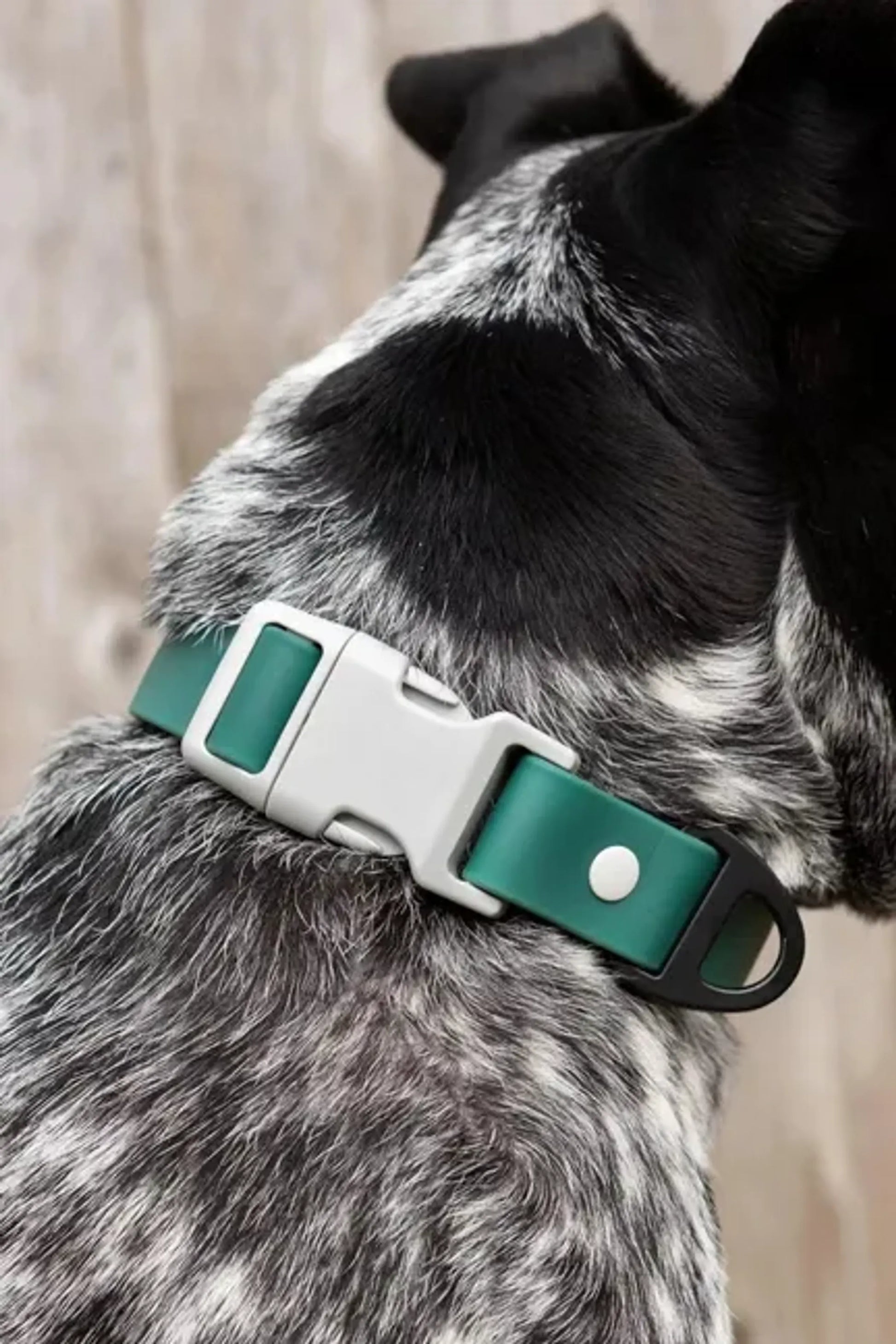 Comfortable Waterproof Dog Collar for Everyday Wear