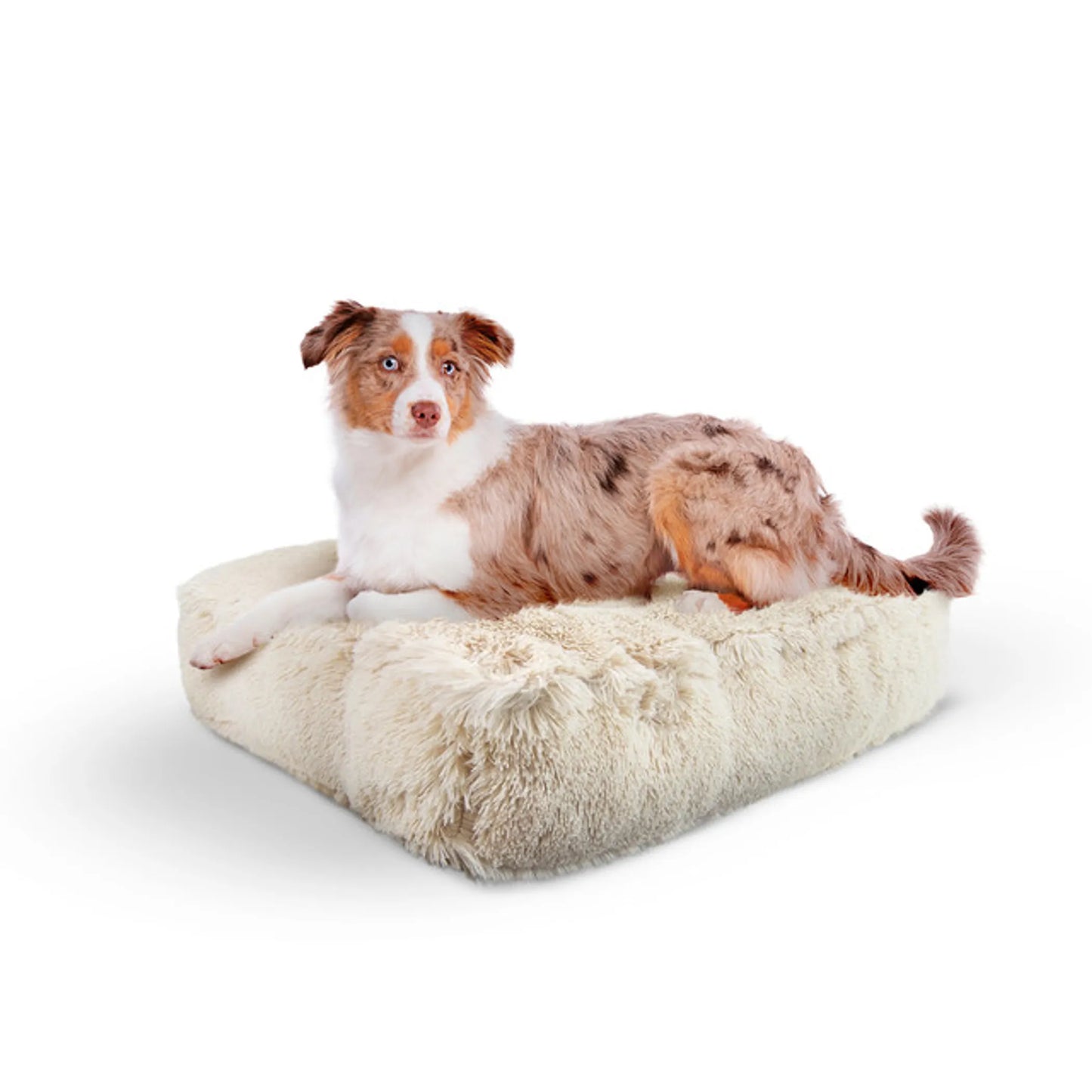 Rectangular Plush Dog Bed – Premium Washable Orthopedic Pet Bed for Dogs & Cats | PetFlowz USA
