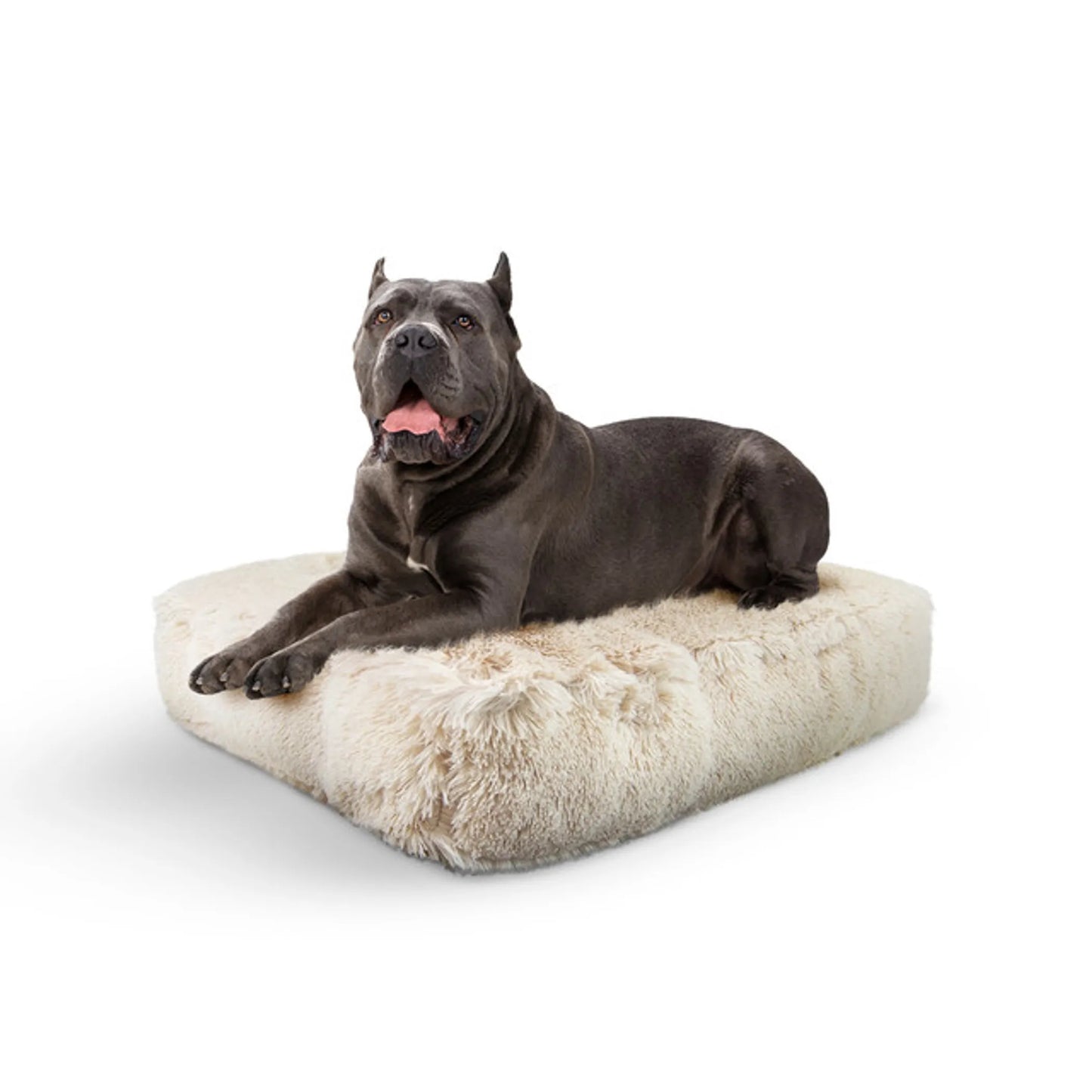 Rectangular Plush Dog Bed – Premium Washable Orthopedic Pet Bed for Dogs & Cats | PetFlowz USA
