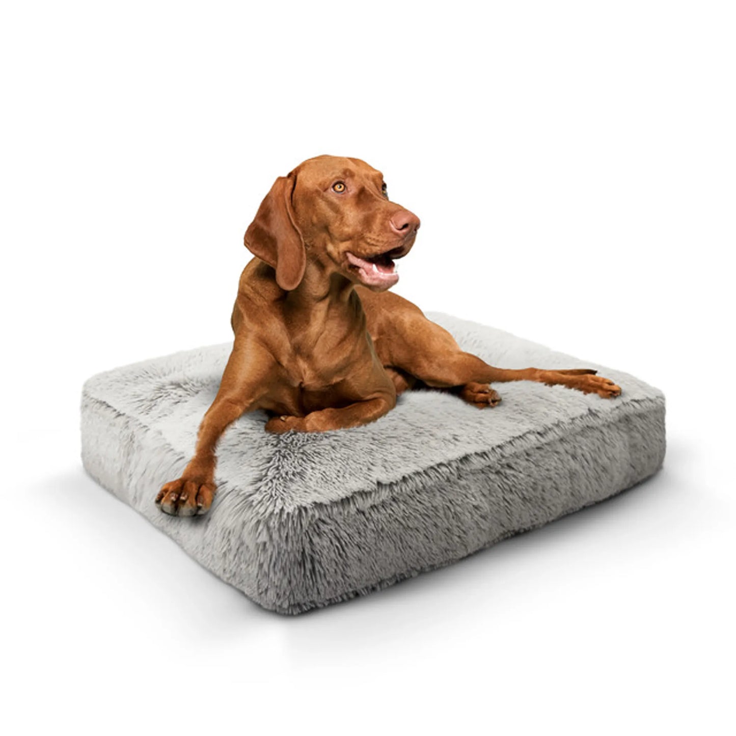 Rectangular Plush Dog Bed – Premium Washable Orthopedic Pet Bed for Dogs & Cats | PetFlowz USA