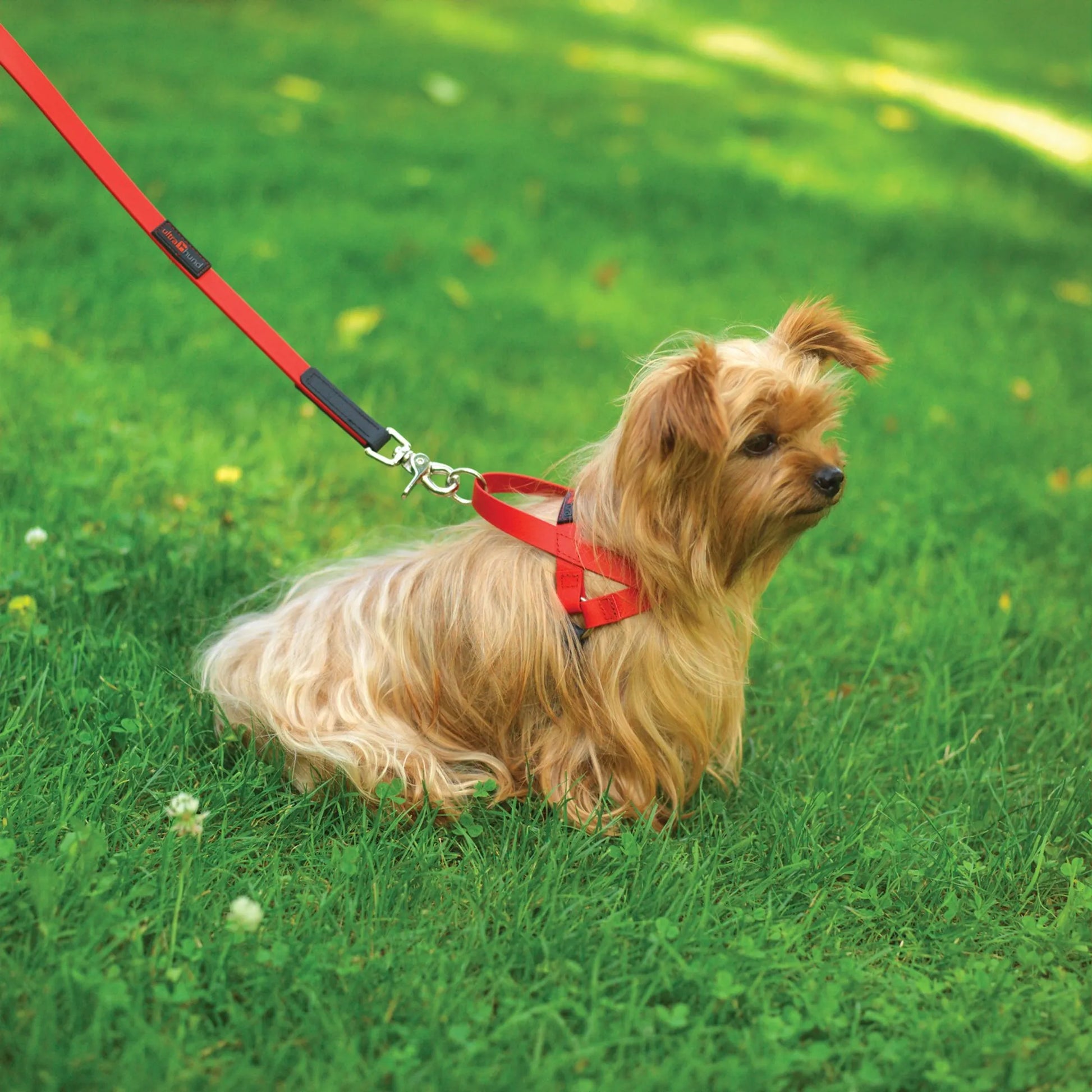 Waterproof leather-like dog harness for training & walks