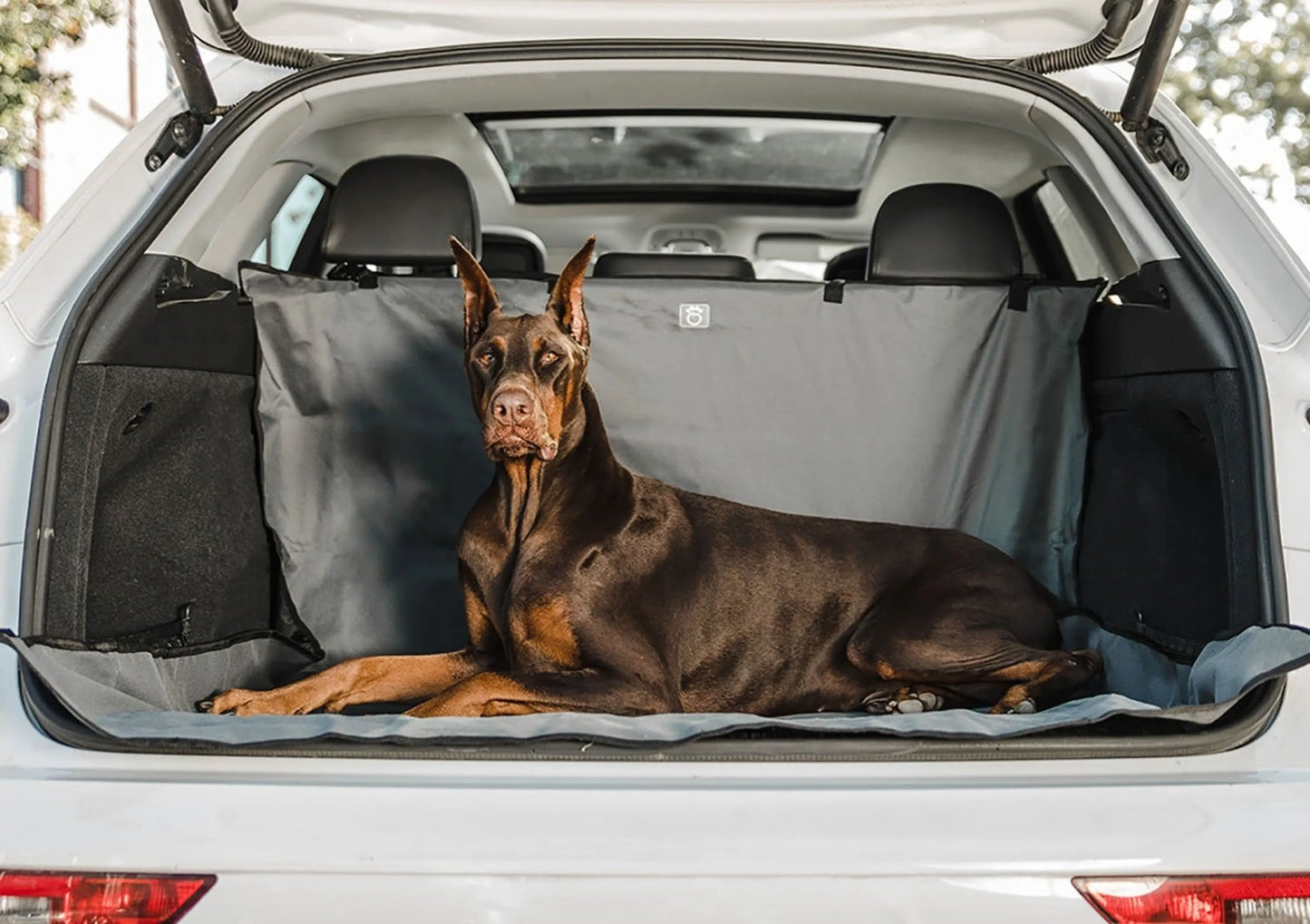 Adjustable cargo liner protecting vehicles from pet hair and dirt