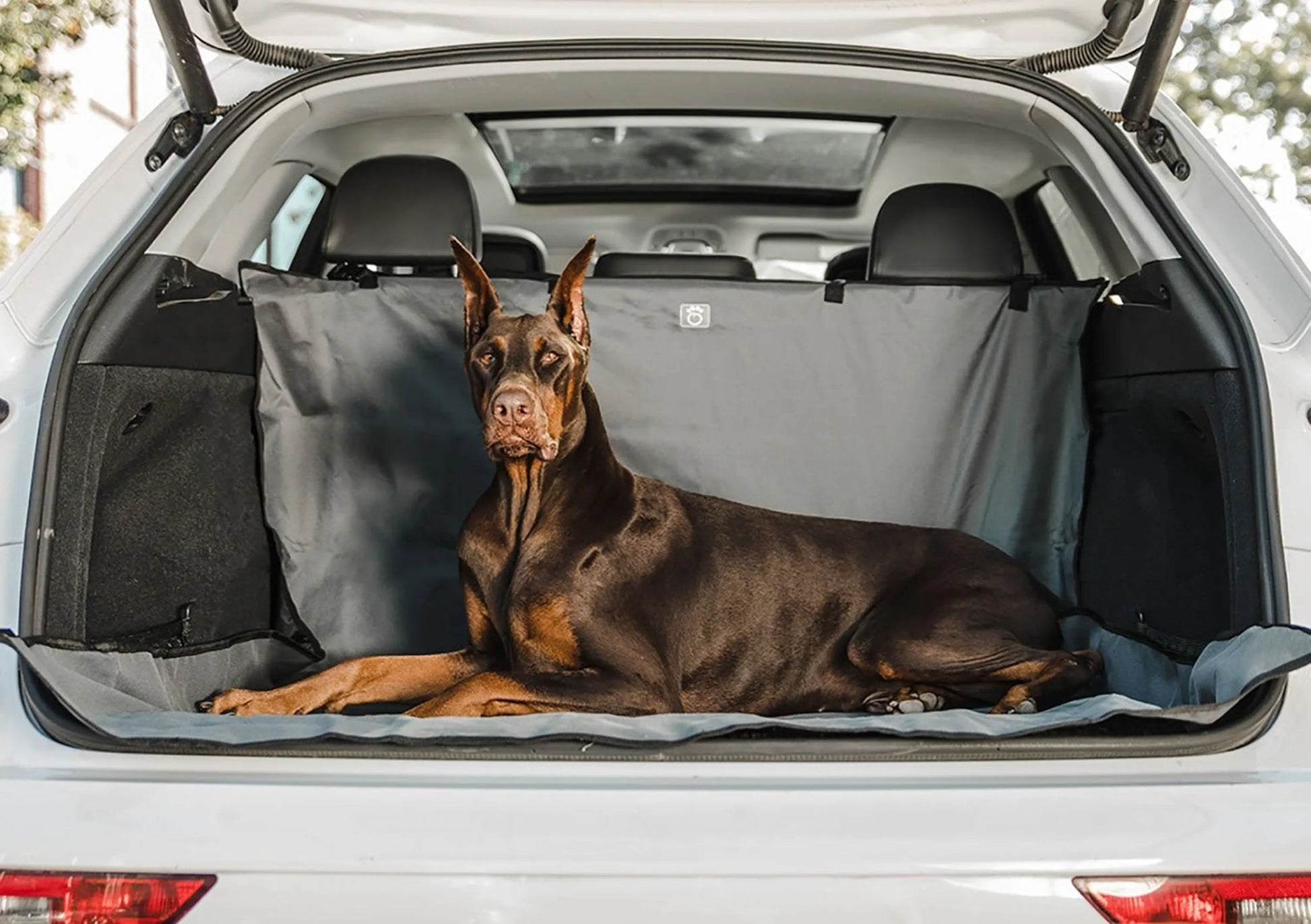 Adjustable cargo liner protecting vehicles from pet hair and dirt
