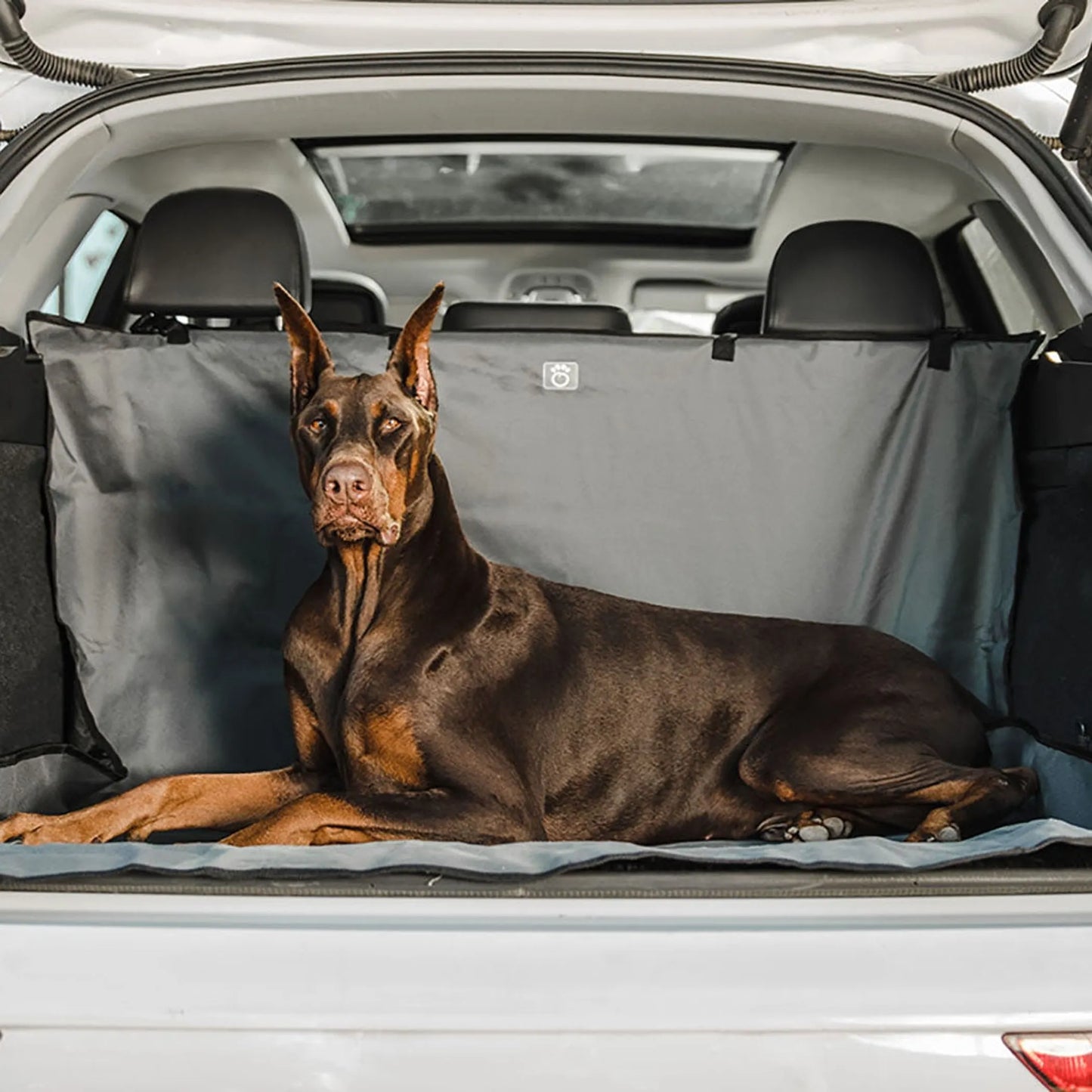 Vehicle cargo protector for pets – machine washable and easy setup