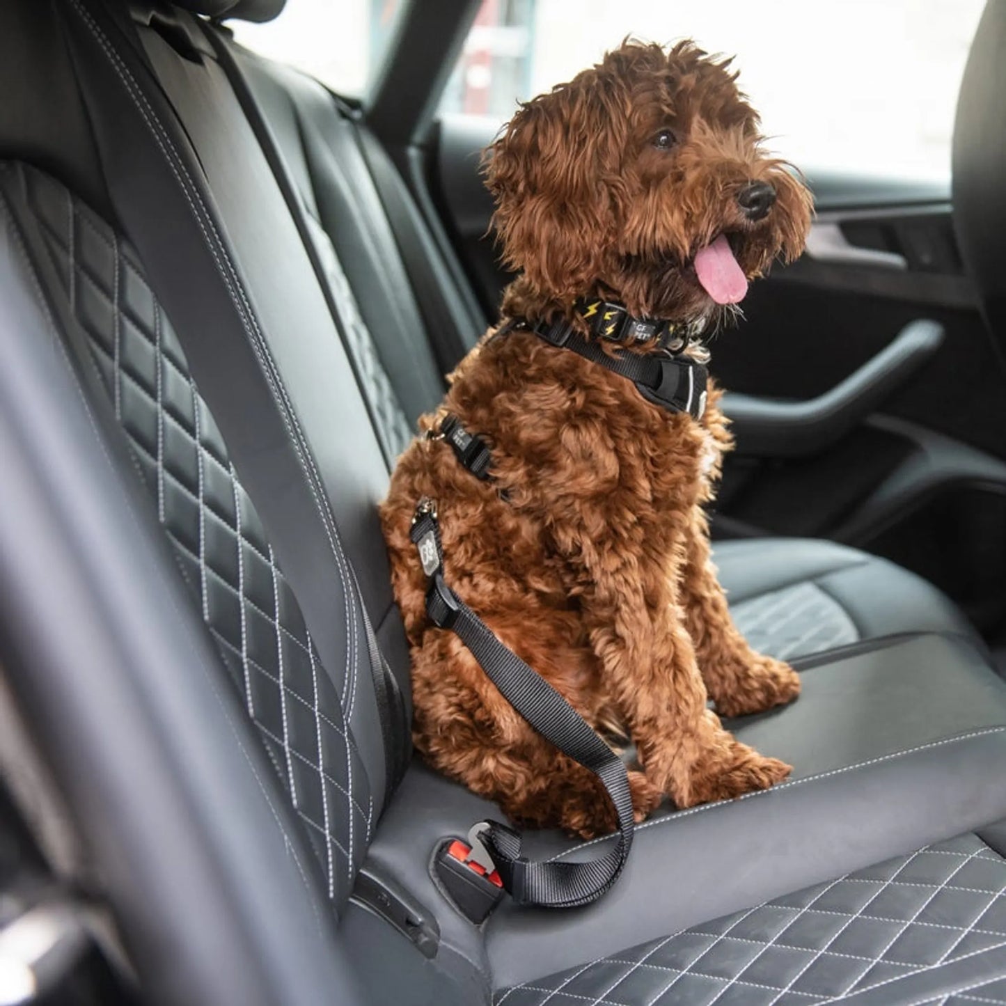 Adjustable Dog Car Seat Belt Safety Strap for Cars – PetFlowz USA